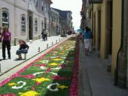 Click para ver a foto maior